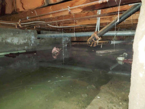 California, MD Water damage restoration Company