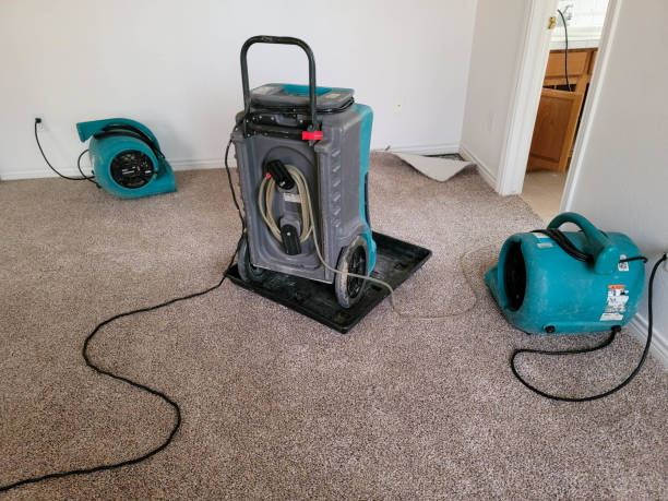 Best Flood damage cleanup  in California, MD