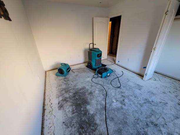 Best Basement water damage restoration  in California, MD