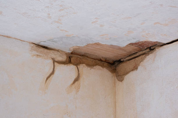 Best 24/7 water damage repair  in California, MD