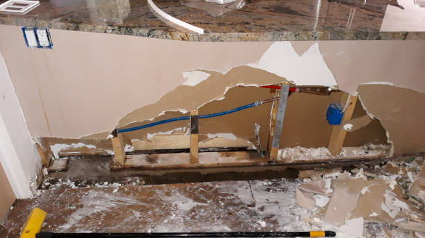 Best Mold removal after water damage  in California, MD