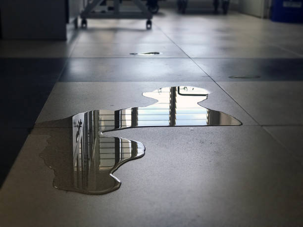 California, MD Water damage restoration Pros