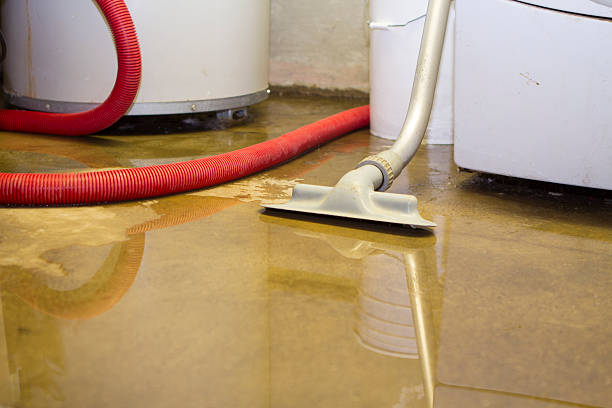 Best Flooded house restoration  in California, MD